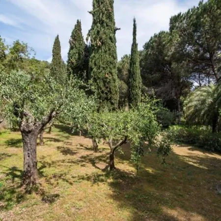 Capoliveri